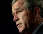 BUSH WELLSTONE