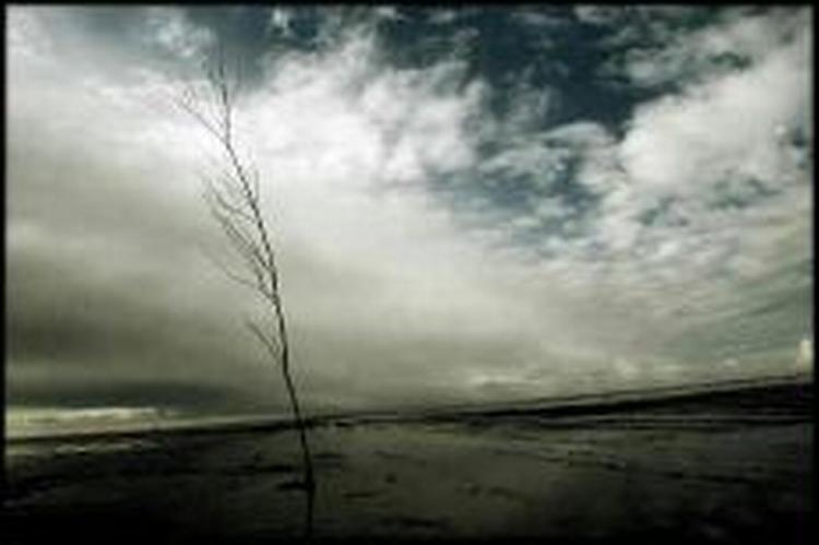 Skyerne kan godt få fart på i weekende som her over Rømø. - Foto: Martin Zakora 