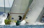 NEW ZEALAND AMERICAS CUP