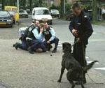 Den drabssigtede bliver anholdt kort efter skudepisoden uden for et mediehus i byen Hilversum mandag den 6. maj. - Foto: AP 