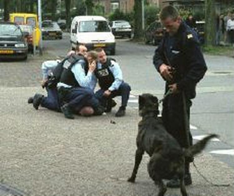 Den drabssigtede bliver anholdt kort efter skudepisoden uden for et mediehus i byen Hilversum mandag den 6. maj. - Foto: AP 