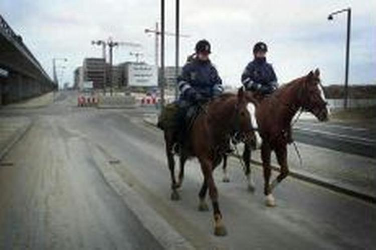 Politi til hest ved Bella Center. - Foto: Jens Dresling 