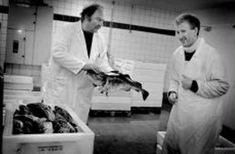 Arkivfoto: Tine Harden 