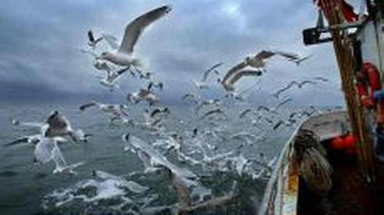 Fiskeriministrene har forhandlet siden mandag, og fredag formiddag blev de præsenteret for tre reviderede forslag. - Foto: Claus Bonnerup 