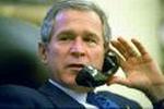 BUSH