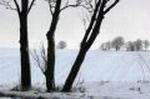 Vinter