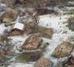 SOLOMON ISLANDS CYCLONE