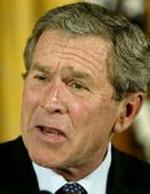 BUSH EDUCATION