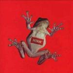 - Foto af cd-cover. 