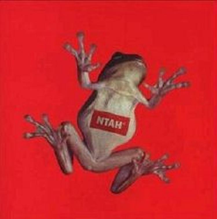 - Foto af cd-cover. 