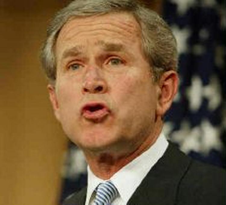 En vigtig sejr i kampen mod terrorismen, kalder Bush-regeringen domstolens afgørelse. - Foto: AP 