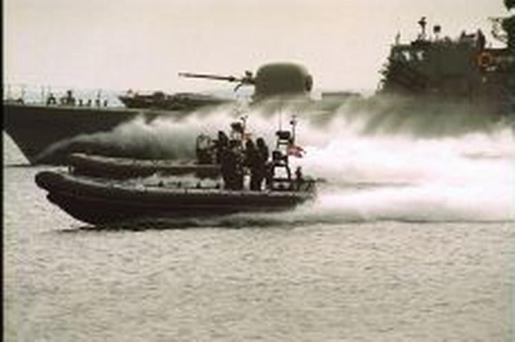 USA har bedt Danmark om militær bistand fra blandt andet frømandskorpset. - Foto: Jan Grarup 