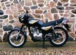 Tidsmæssigt siger Grand Puma-designet cirka 1990, men ellers er der meget motorcykel for få penge. - Foto: John de Summer-Brason 