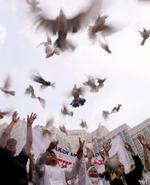 Demonstranterne løslod en masse duer i håb om at stoppe krigen i Irak. - Foto: AP 