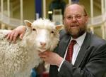 Ian Wilmut, der skabte Dolly, klapper det udstoppede får.- Foto: AP 
