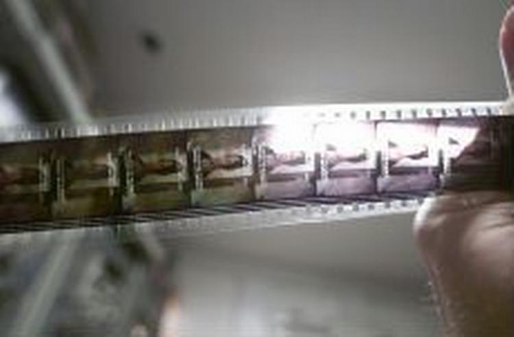 Nordisk Film skal i fremtiden lave flere film i Skandinavien. - Foto: Jens Dresling 