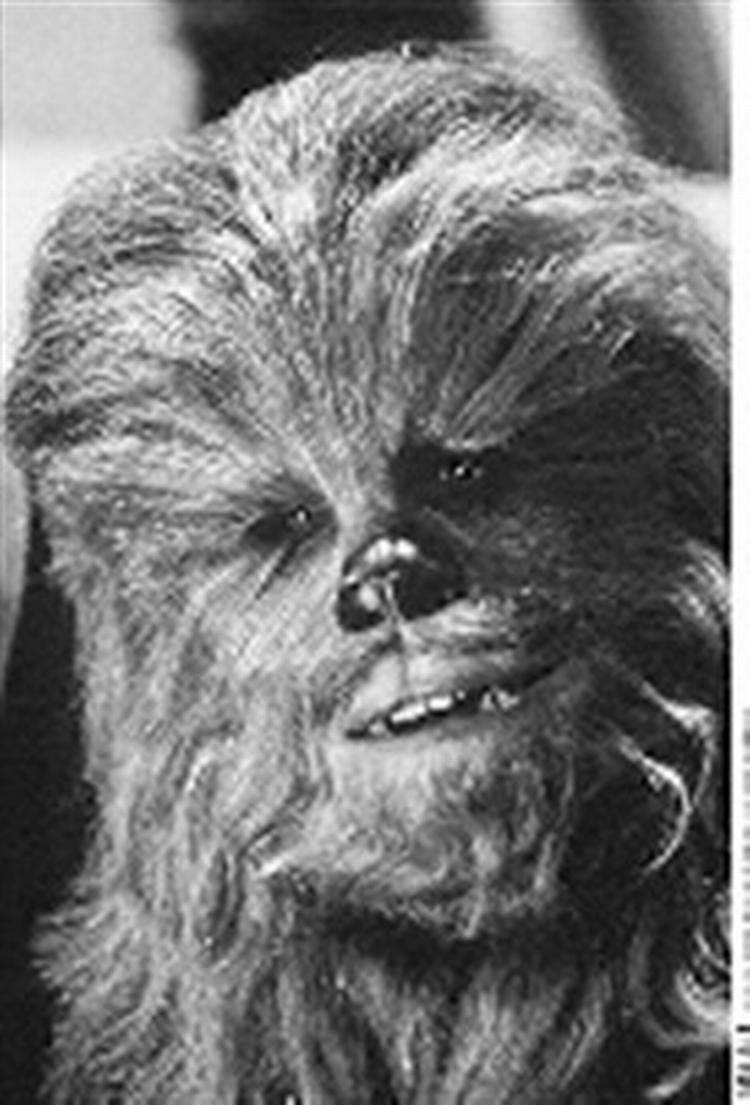 Skuespilleren Peter Mayhew, som fylder 60 år i næste måned, skal igen udgøre indmaden af Chewbacca. Polfoto 