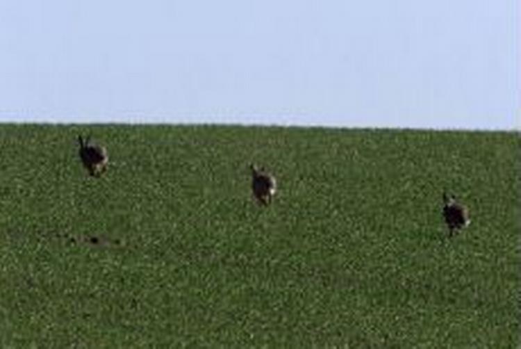 Foto: Claus Bonnerup 