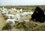 IRAQ MASS GRAVE