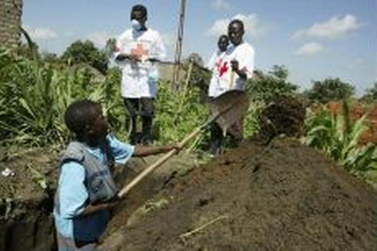 Røde Kors arbejdere er i gang med at lave grave til de lig, der er fundet i byen Bunia i Congo. - Foto: AP 