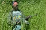 CONGO FIGHTING