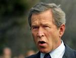 Præsident George W. Bushs image er skadet både hjemme og ude i verden, mener den nu tidligere 'miljøminister'. - Foto: AP 