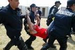 Politiet bærer en demonstrant væk på en campingplads. - Foto: AP 