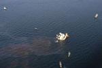 Det kinesiske skib sank på 60 meter vand. - Foto: Pressens Bild 