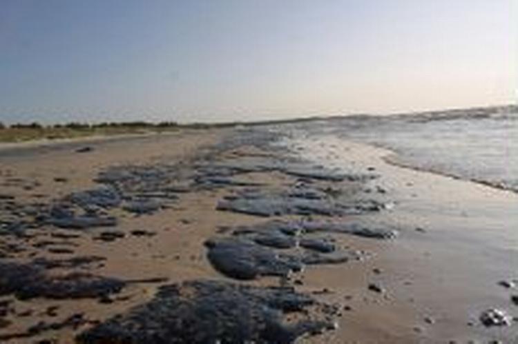 Olien skyller ind på stranden ved Borreby. - Foto: AP 