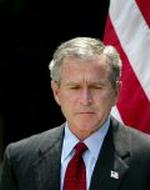 BUSH