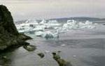 Isbjerge