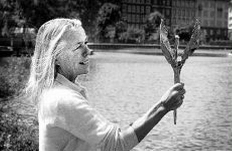 Lin Utzon har formgivet Den Gyldne Svane. - Foto: Kim Agersten 