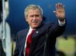 BUSH