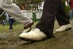 Græsset på golfbanerne bliver stresset over en lang sæson. - Foto: AP 