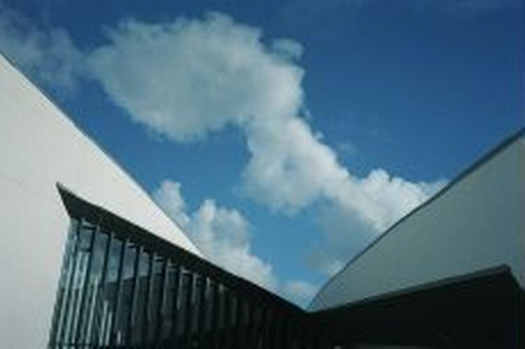 Arken mangler en ny museumsinspektør. - Foto: Thomas Borberg 