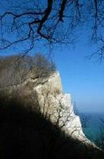 Møns klint