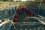 OSCE's parlamentariske forsamling 'beklager' USA's behandling af de omkring 600 fanger på Guantanamo-basen. - Foto: AP 