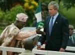 NIGERIA AFRICA BUSH
