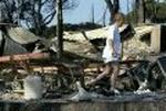 FRANCE FOREST FIRES