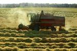 Det er svært at score i førerhuset på en traktor, derfor er der oprettet en datingservice på nettet for landmænd. - Foto: Peter Hove Olsen. 
