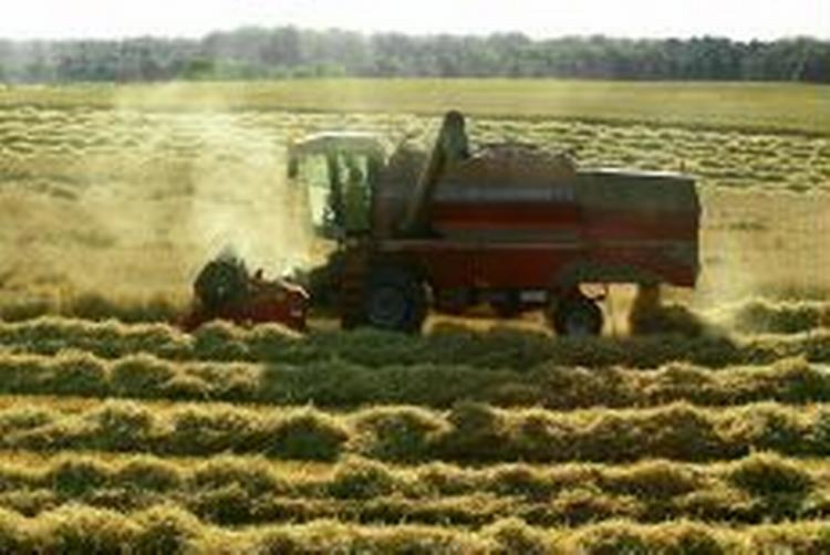 Det er svært at score i førerhuset på en traktor, derfor er der oprettet en datingservice på nettet for landmænd. - Foto: Peter Hove Olsen. 