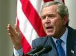 BUSH
