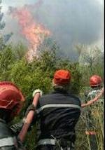 FRANCE FOREST FIRES