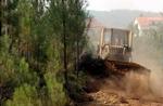 En portuguisisk bulldozer graver brandbælter. - Foto: AP 