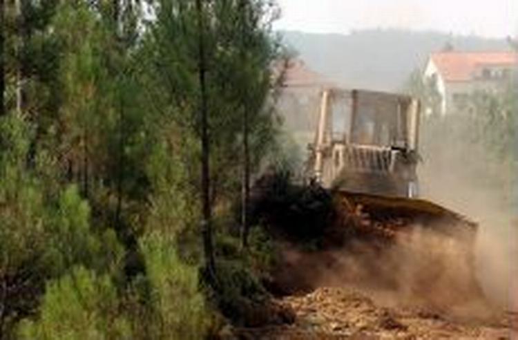 En portuguisisk bulldozer graver brandbælter. - Foto: AP 