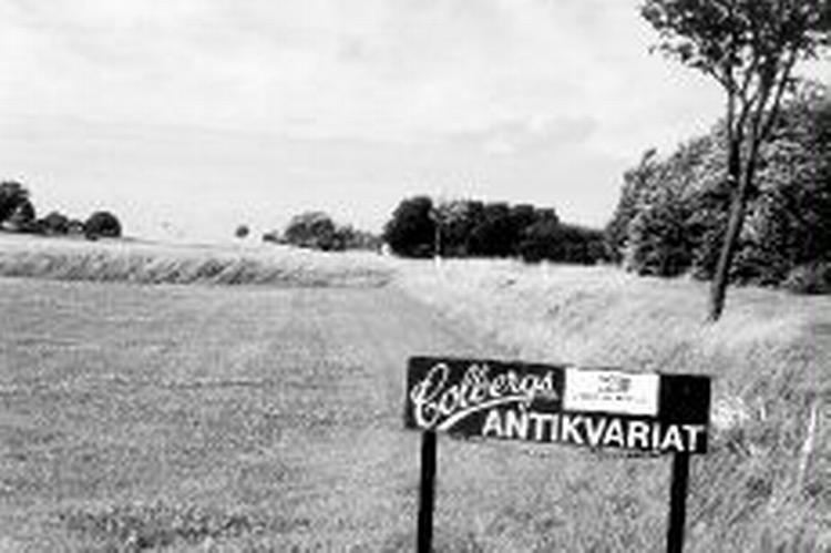Foto: Spumante 