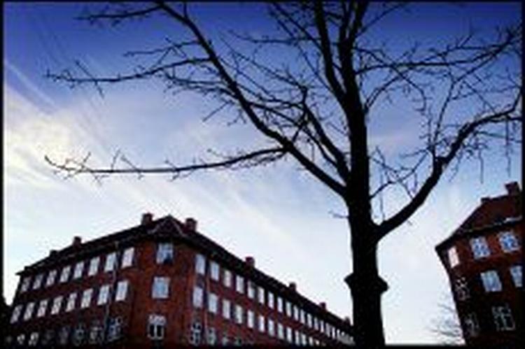 'Regeringens planer for salg af almene boliger vil betyde en markant forringelse af boligsituationen for en meget stor befolkningsgruppe', skriver Boligselskabernes Landsforening i sit høringssvar. - Foto: Thomas Borberg 
