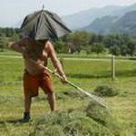 SWITZERLAND HEATWAVE FARMER