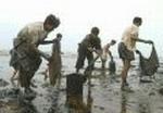 PAKISTAN TANKER AGROUND