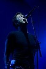 Suede i Store Vega